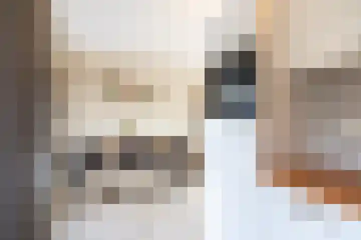 Eggedreef 45 Doetinchem thumbnail 10