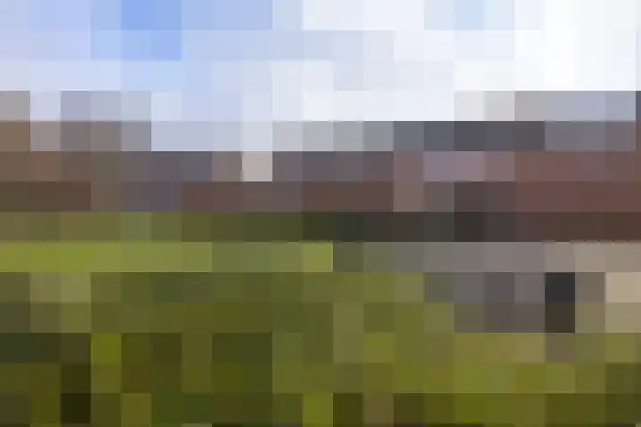 Eggedreef 45 Doetinchem thumbnail 15
