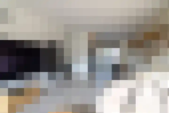 Eggedreef 45 Doetinchem thumbnail 6