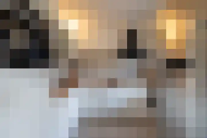 Eggedreef 45 Doetinchem thumbnail 8