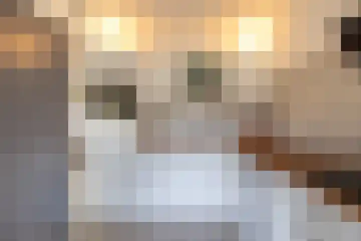 Eggedreef 45 Doetinchem thumbnail 9