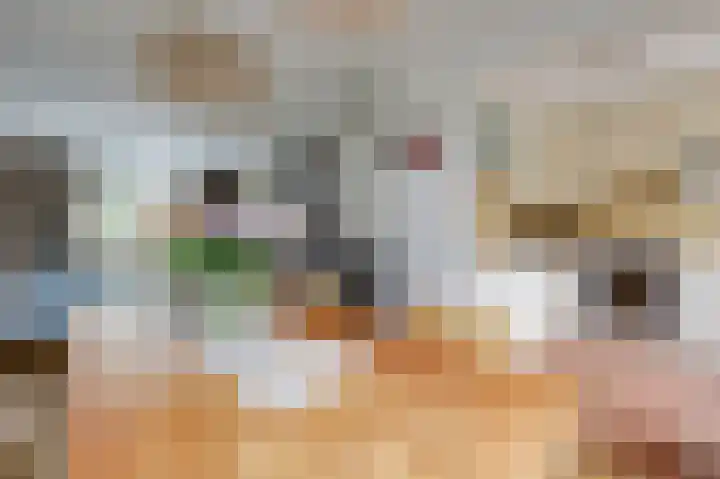 Eggedreef 53 Doetinchem thumbnail 18