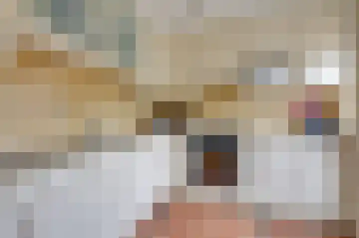 Eggedreef 53 Doetinchem thumbnail 19