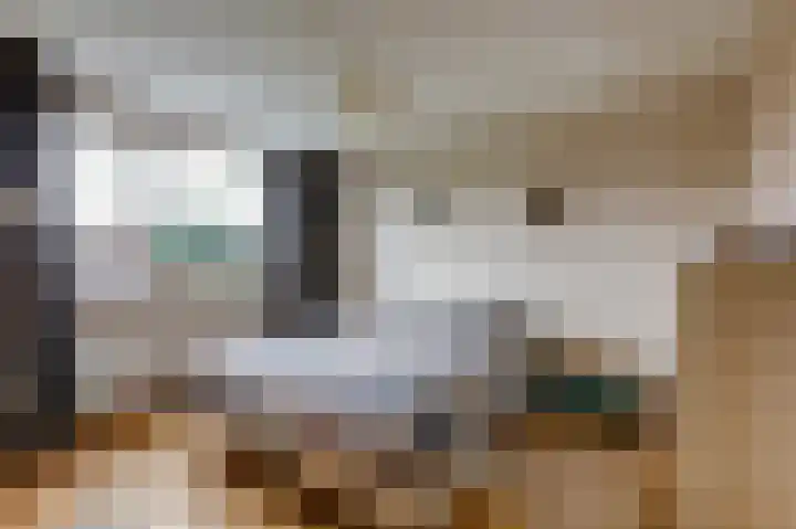 Eggedreef 53 Doetinchem thumbnail 21