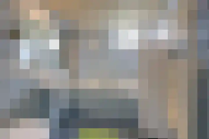 Eggedreef 53 Doetinchem thumbnail 24