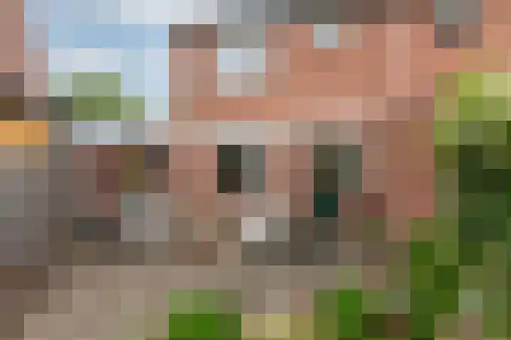Eggedreef 53 Doetinchem thumbnail 29