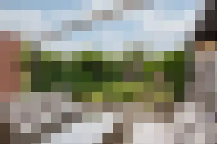 Eggedreef 53 Doetinchem thumbnail 30