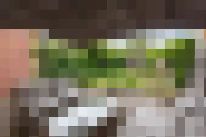Eggedreef 53 Doetinchem thumbnail 31