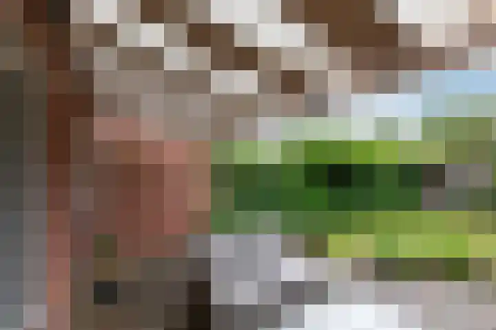Eggedreef 53 Doetinchem thumbnail 33