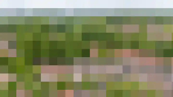 Eggedreef 53 Doetinchem thumbnail 35