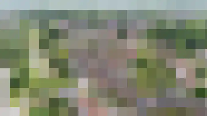 Eggedreef 53 Doetinchem thumbnail 36