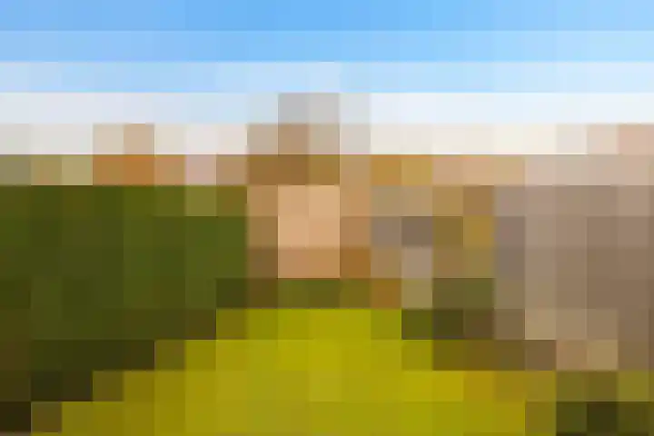 Eggedreef 55 Doetinchem thumbnail 19