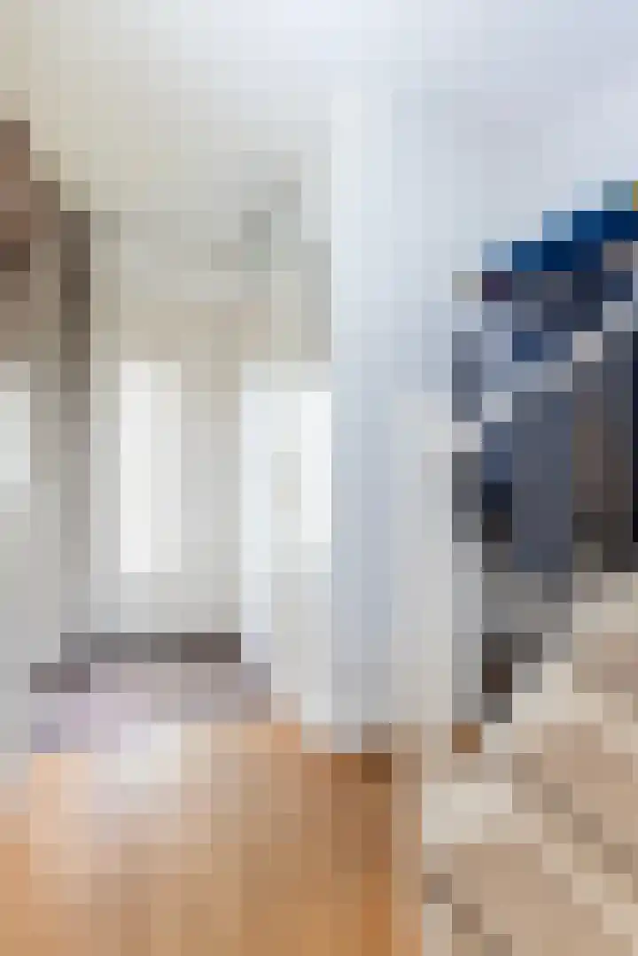 Eggedreef 55 Doetinchem thumbnail 8