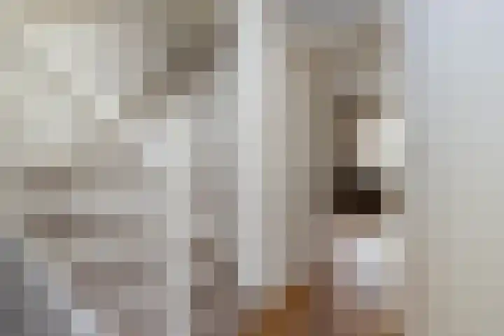 Eggedreef 55 Doetinchem thumbnail 9