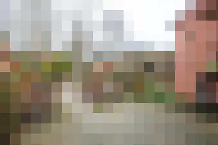 Eggedreef 86 Doetinchem thumbnail 11