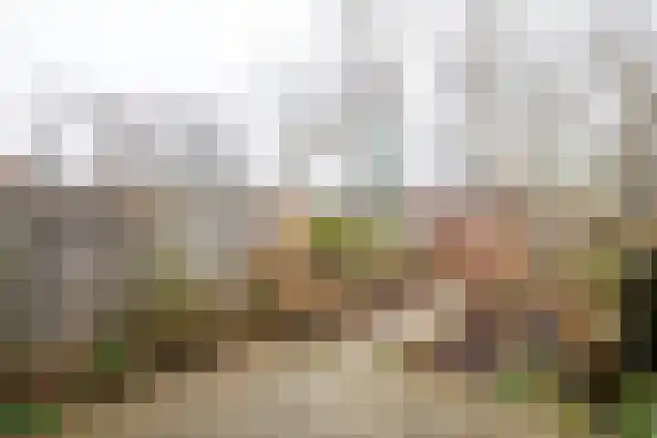 Eggedreef 86 Doetinchem thumbnail 12