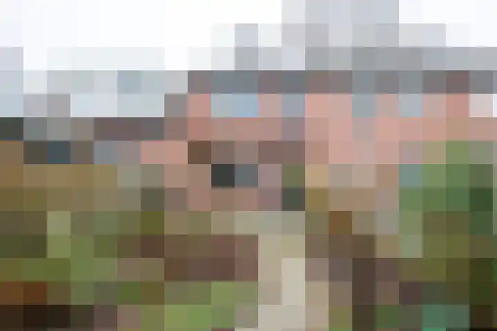 Eggedreef 86 Doetinchem thumbnail 13