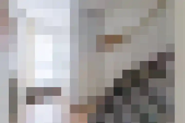 Eggedreef 86 Doetinchem thumbnail 19