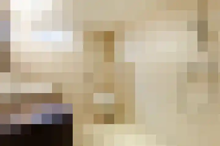 Eggedreef 86 Doetinchem thumbnail 26