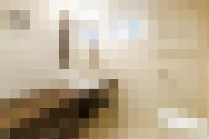 Eggedreef 86 Doetinchem thumbnail 27