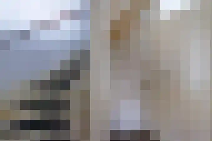 Eggedreef 86 Doetinchem thumbnail 29
