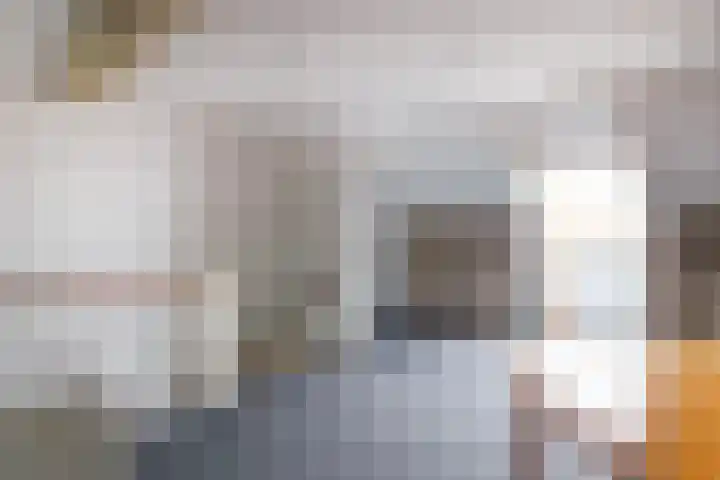Eggedreef 86 Doetinchem thumbnail 30