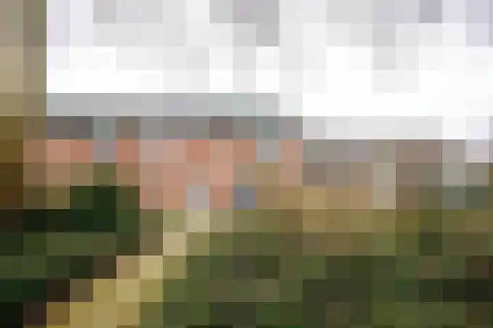 Eggedreef 86 Doetinchem thumbnail 34