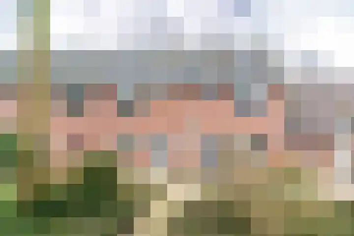 Eggedreef 86 Doetinchem thumbnail 35