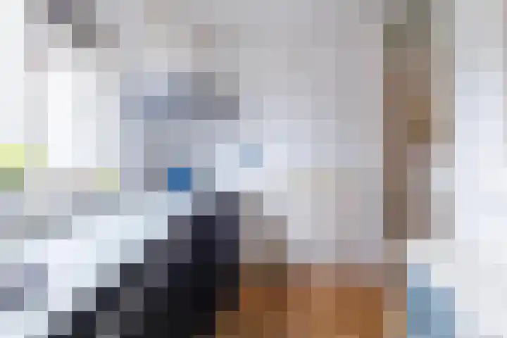 Eggedreef 86 Doetinchem thumbnail 8