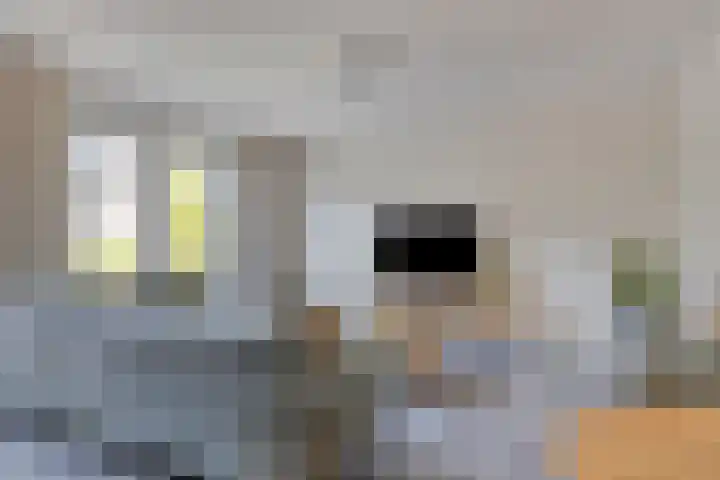 Eggendreef 14 Someren thumbnail 12