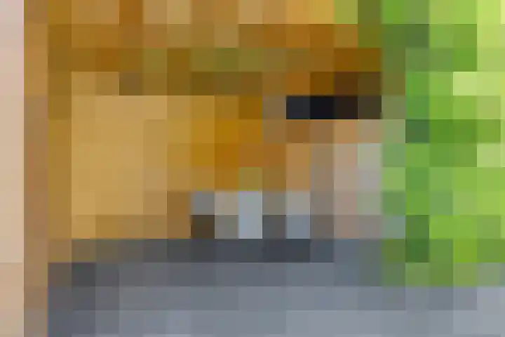 Eggendreef 14 Someren thumbnail 23