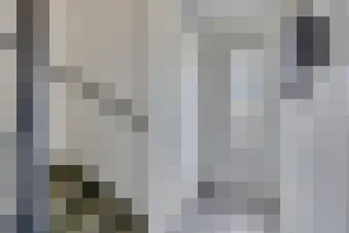 Eggendreef 14 Someren thumbnail 5