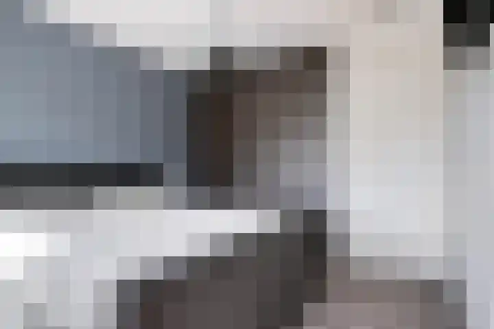 Eggendreef 31 Someren thumbnail 12