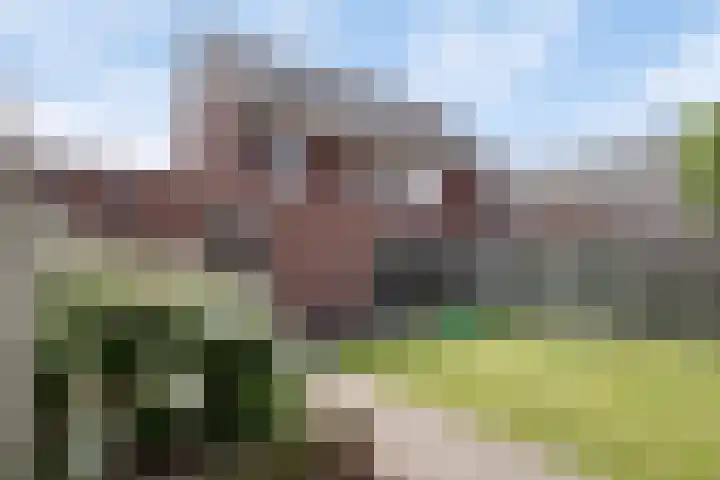 Eggendreef 31 Someren thumbnail 22