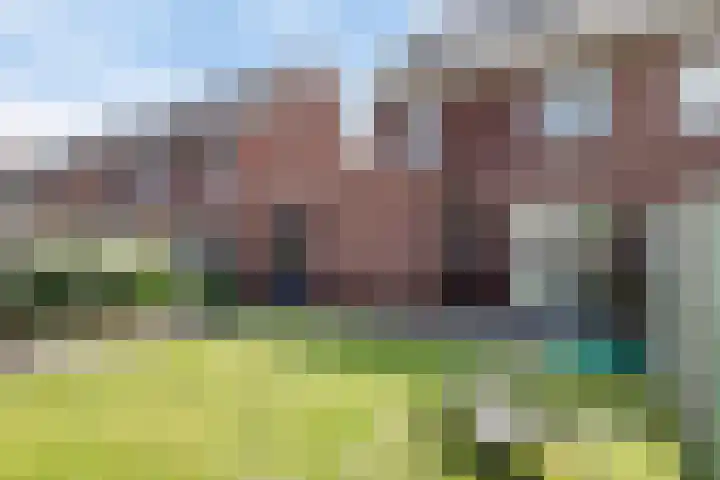 Eggendreef 31 Someren thumbnail 23