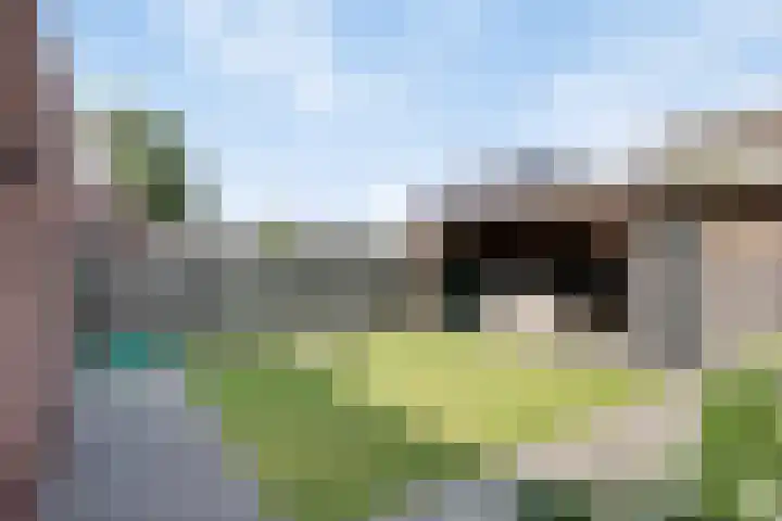 Eggendreef 31 Someren thumbnail 24