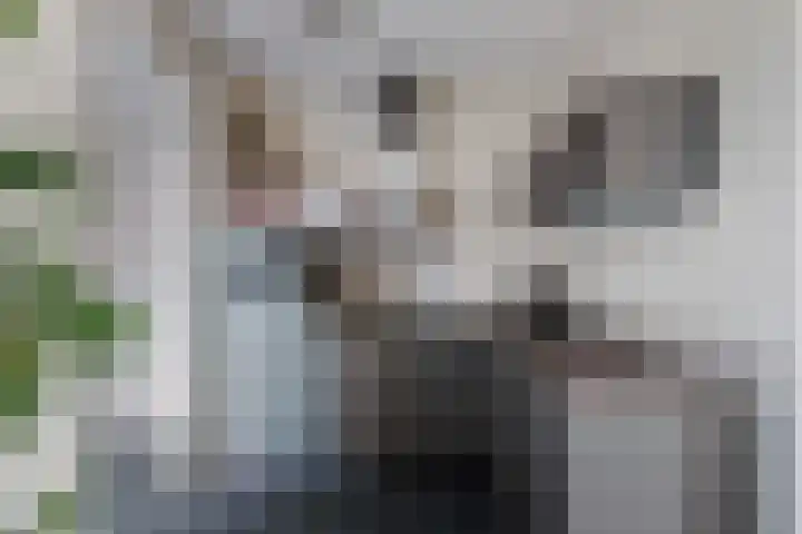 Eggendreef 31 Someren thumbnail 6