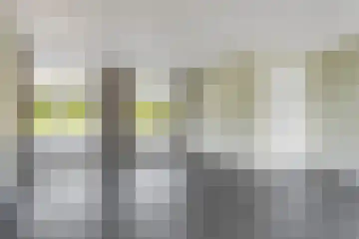 Eggendreef 40 Someren thumbnail 13