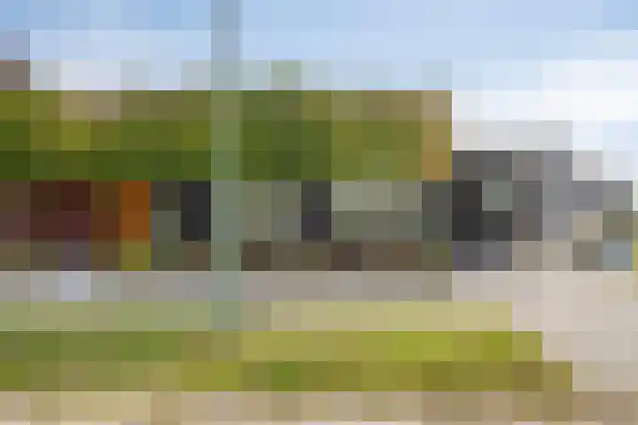 Eggendreef 40 Someren thumbnail 8