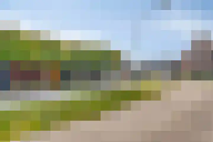 Eggendreef 40 Someren thumbnail 9