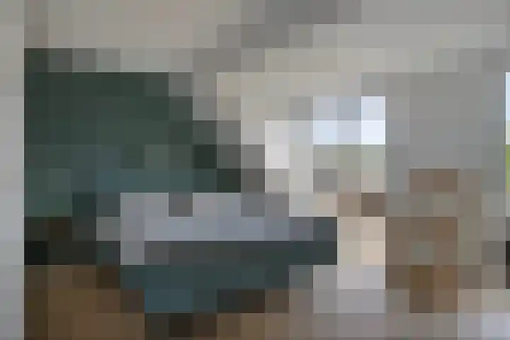 Eggendreef 61 Someren thumbnail 13