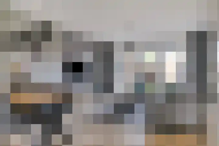Eggendreef 61 Someren thumbnail 6