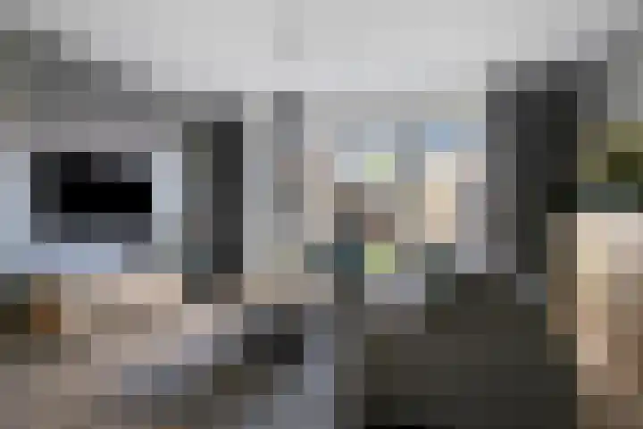 Eggendreef 61 Someren thumbnail 7