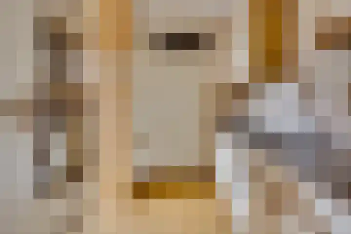 Egger 46 Leusden thumbnail 11