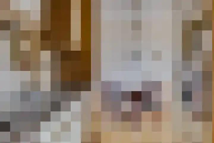 Egger 46 Leusden thumbnail 14