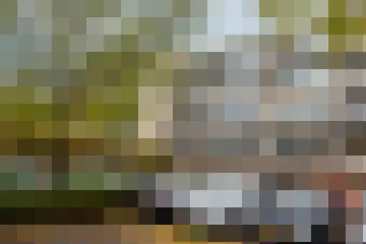 Egger 46 Leusden foto 2