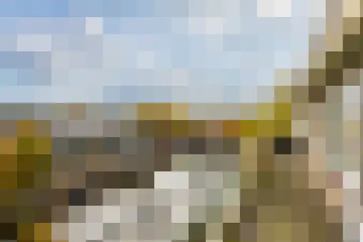 Egger 46 Leusden thumbnail 23