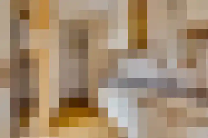 Egger 46 Leusden thumbnail 8