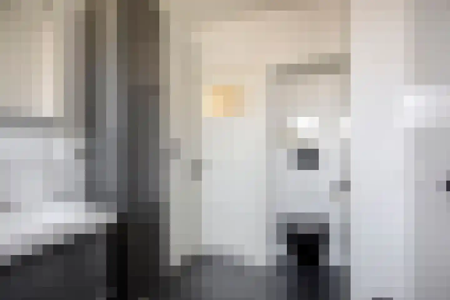 Eggestraat 18 Breda thumbnail 28