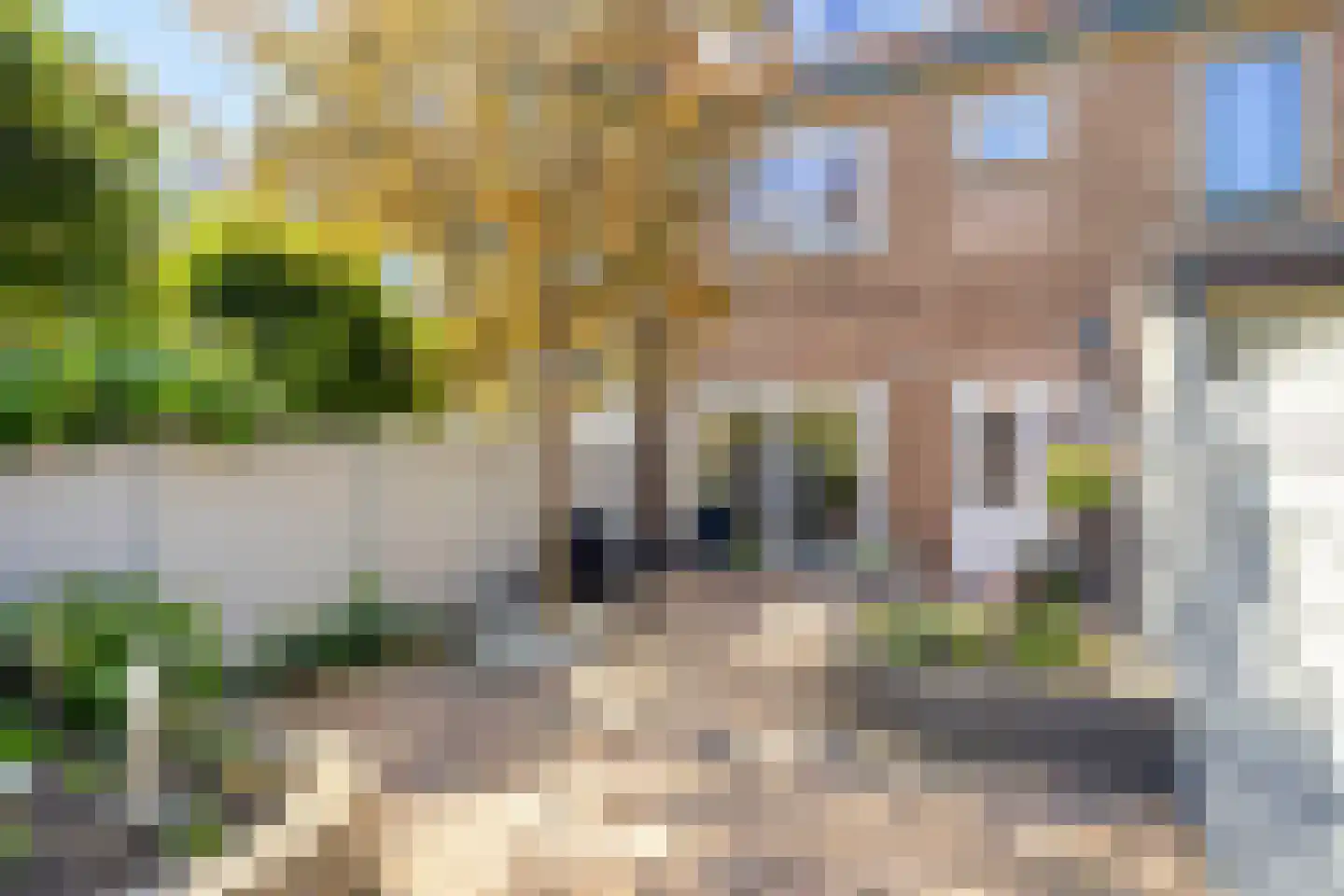 Eggestraat 18 Breda thumbnail 35